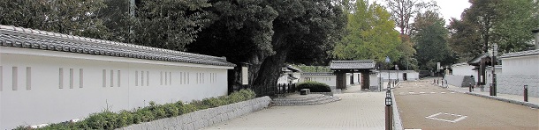 phto-5